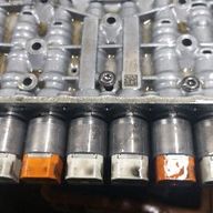 소탈한망둥어26