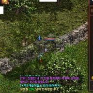 건강한사슴벌레225