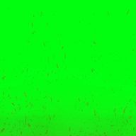 나른한침팬지182