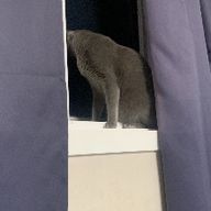 고혹적인매사촌204