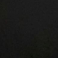 단단한노린재101