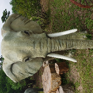 굉장한할미새202