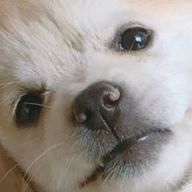 자유로운두루미157