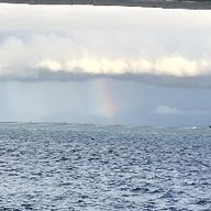 통쾌한오랑우탄30