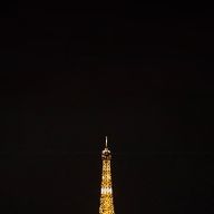 반듯한극락조96