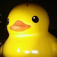 노련한레오파드107