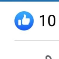 정중한풍금조153