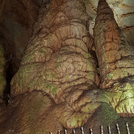 기운찬미어캣205