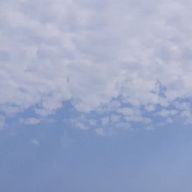 풍족한떄까치113