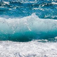 박식한뜸부기270