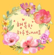 아카시아