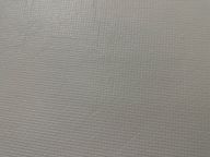 대체로훌륭한산호