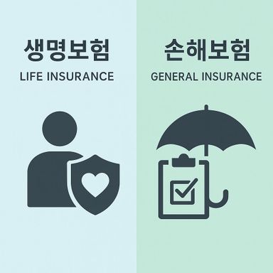 생명보험 / 손해보험 비교해보겠습니다.