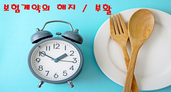 보험계약의 해지 및 부활