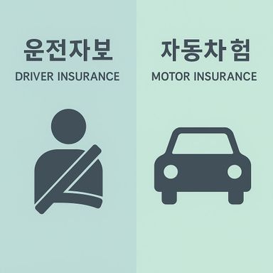 "운전자 보험이랑 자동차보험, 뭐가 다른 건가요?"