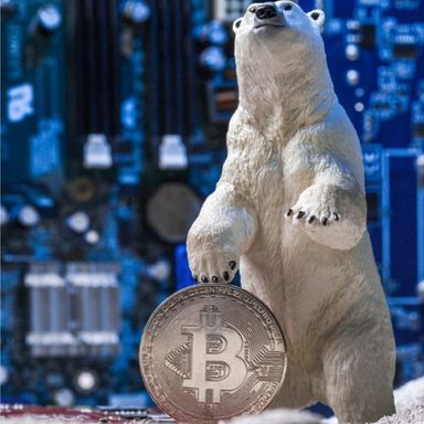 비트코인이 절대 사라질 수 없는 이유