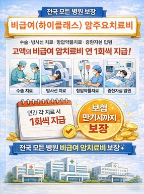 비급여 암주요치료비 들어보셨나요?