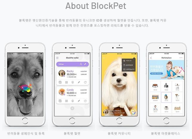 반려동물 관련 블록체인은 왜 만들어진건가요?의 1번 째 이미지