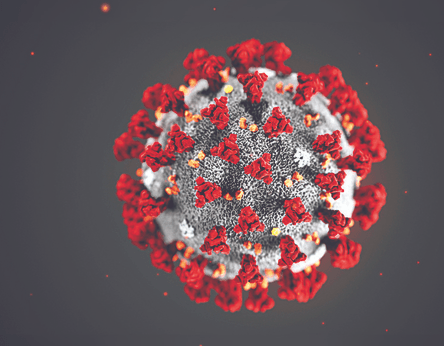 코로나 ? 구체적으로 어떻게 생겼나요?의 0번 째 이미지