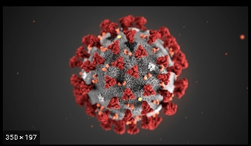 코로나 라는 이름의 유래는 뭔가요?의 0번 째 이미지