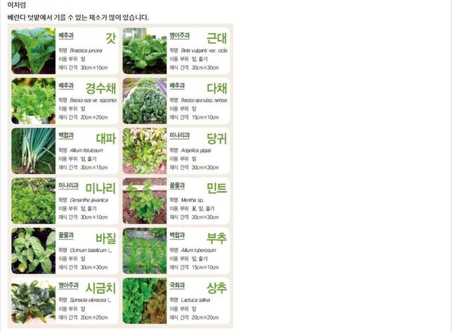아파트 발코니에서 간단히 키울 수 있는 농작물 추천부탁드립니다의 1번 째 이미지
