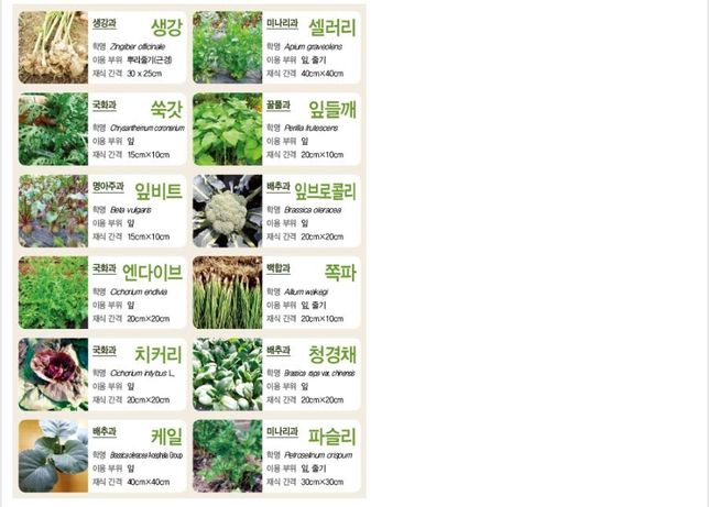 아파트 발코니에서 간단히 키울 수 있는 농작물 추천부탁드립니다의 2번 째 이미지