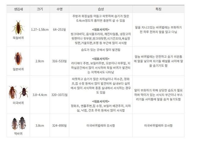 바퀴벌레는 어떤환경을 좋아하나요??의 0번 째 이미지