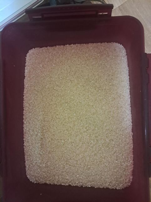 쌀에대해서 궁금해서문의를드림니다의 0번 째 이미지