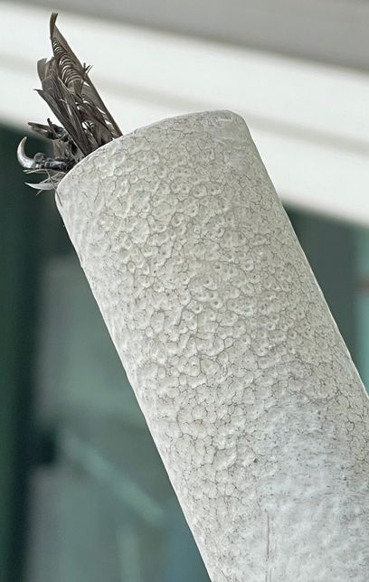 아파트 계양대 속 새끼 새가 죽었는데, 어떻게 처리해야 할까요?의 0번 째 이미지