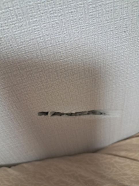 화나서 물건던지다가 벽뿌심 어케요ㅠㅠ의 0번 째 이미지