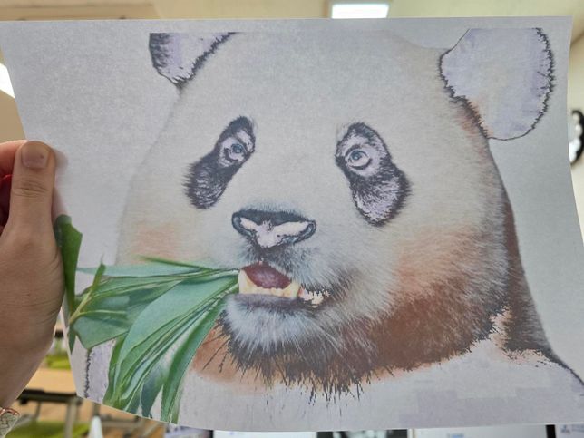 캐논 g3910 까만색이 안나와요 잉크많은데의 1번 째 이미지