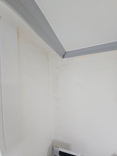 구축 도배지 얼룩(오염) 질문드립니다.의 0번 째 이미지