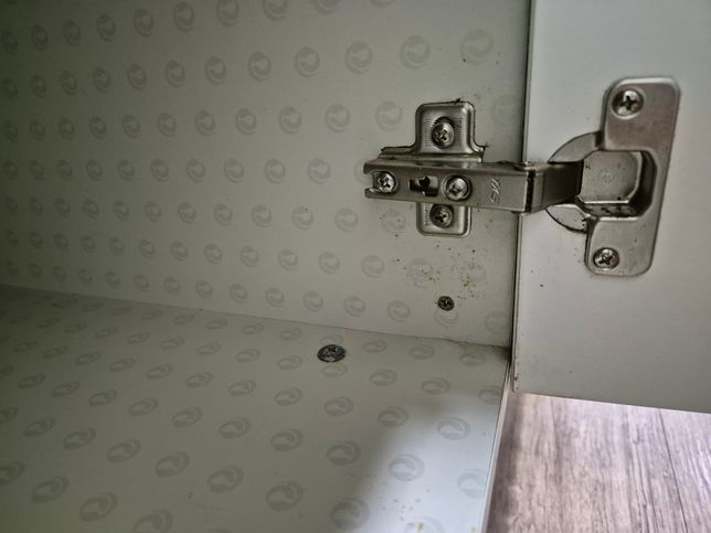 원룸 방 알아보고 있는데 바퀴벌레 똥인지 궁금합니다의 0번 째 이미지