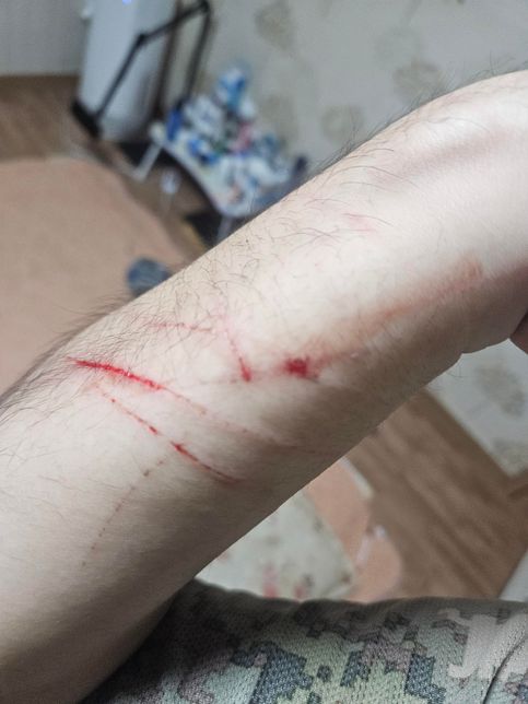 고양이가 숨숨집에만 들어가거나 어두운 공간만 들어가면 저한테 하악질하고 물려고 합니다.의 0번 째 이미지