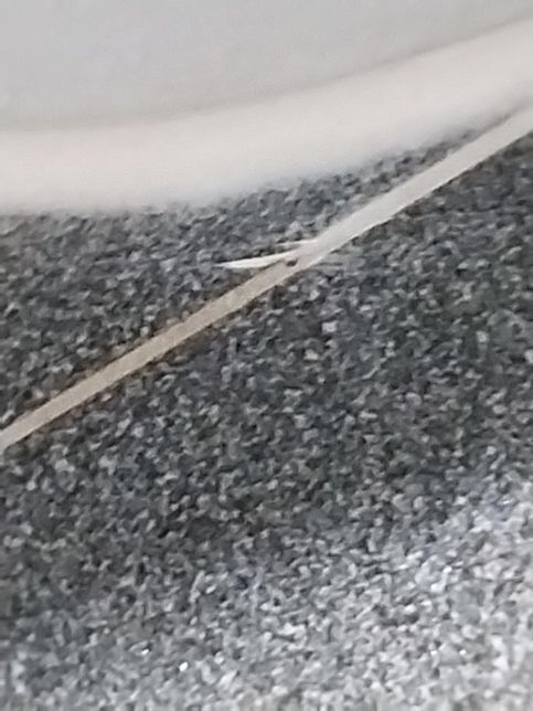 화장실 바닥에 사진처럼 붙었는데 무엇인지 모르겠어요의 0번 째 이미지