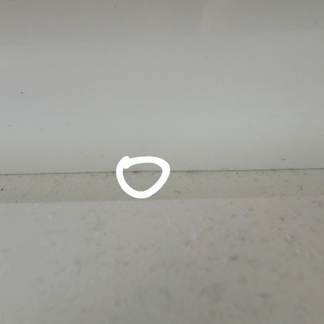 집에 엄청 작은 벌레가 .. 이 벌레 이름이 뭘까요의 0번 째 이미지