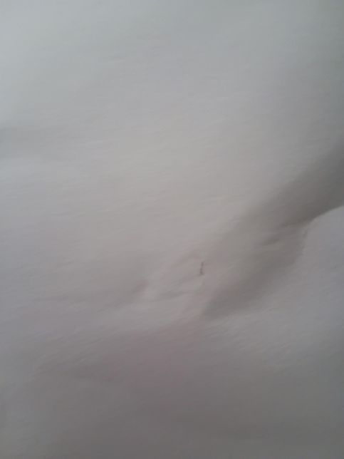 옷걸이형 제습제 검은 가루가 묻어 배송됐어요의 1번 째 이미지