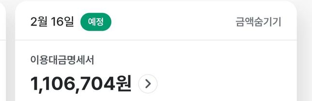 다음달에 내야하는 카드값이 갑자기 많아졌습니다의 2번 째 이미지
