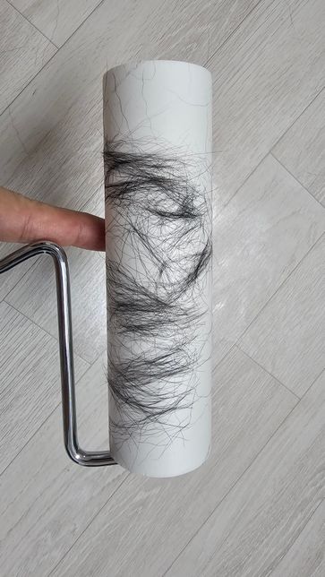 13개월 강아지, 갑자기 머리털만 계속 빠져요 (몸통은 X)의 0번 째 이미지