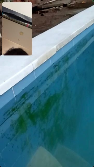 (재질문) 수영장 벽 녹조 어떻게 제거하면 될까요?의 0번 째 이미지