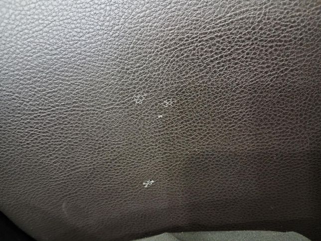 가죽 의자에 하얀 부분 곰팡이 인 가요?의 0번 째 이미지