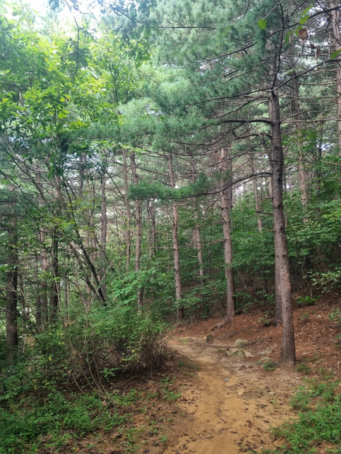 가을에는 건강관리를 위해 바다로 가시나요? 산으로 올라가시는지요?의 0번 째 이미지