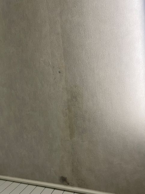 이게 누수일까요?????????의 1번 째 이미지