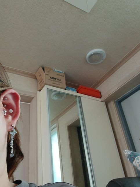 트라거스 피어싱 상태 좀 봐주세요 부탁드립니다의 0번 째 이미지