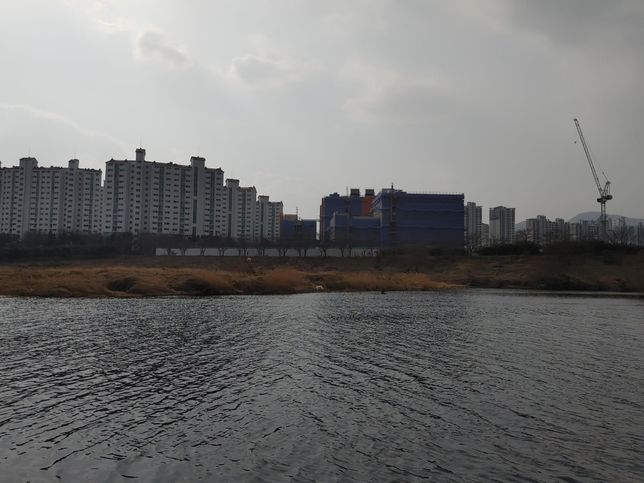 코로나가 터지자 발달장애인들이 더 늘어나서 아이들도 고립감을 느끼고 있나요?의 3번 째 이미지