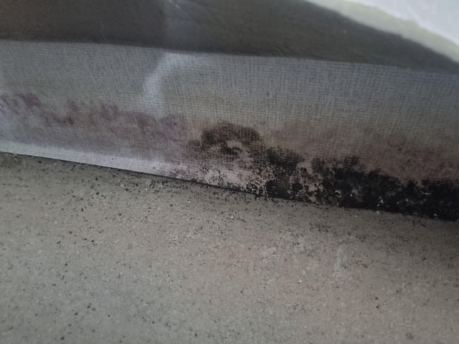 월세 하자 보수 안해주며 손해배상청구?의 2번 째 이미지