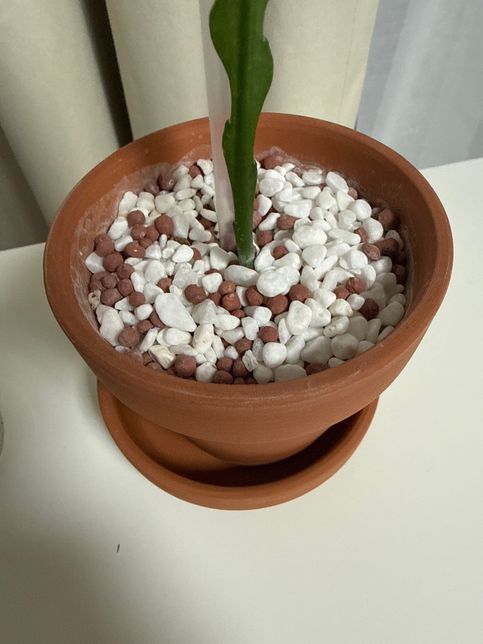 사진과 비슷한 마사토? 를 구하고 싶어요의 0번 째 이미지