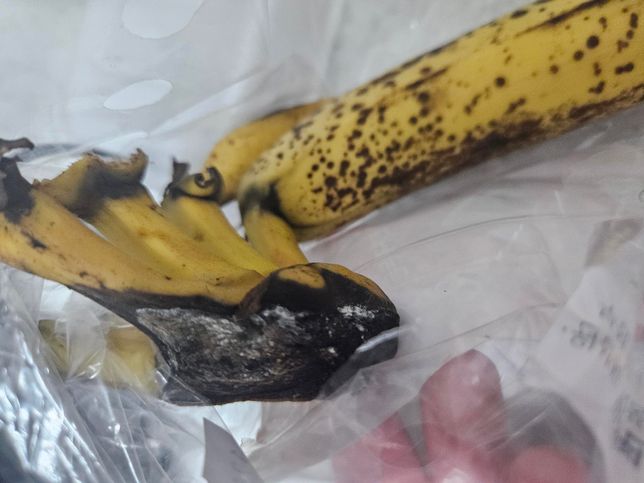 바나나 이렇게 된것 먹어도 되는건지 궁금해요의 0번 째 이미지