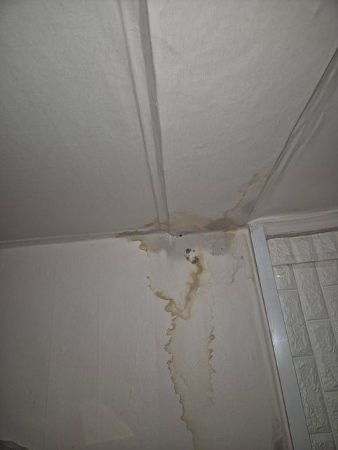 지금 천장에서 물이 떨어지고 있는데...의 1번 째 이미지