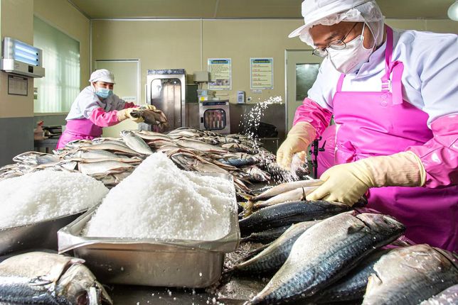 옛날에 화학방부제가 없었던 시대에 음식이나 물건을 보존했을 때는 왜 소금을 사용했나요?의 3번 째 이미지